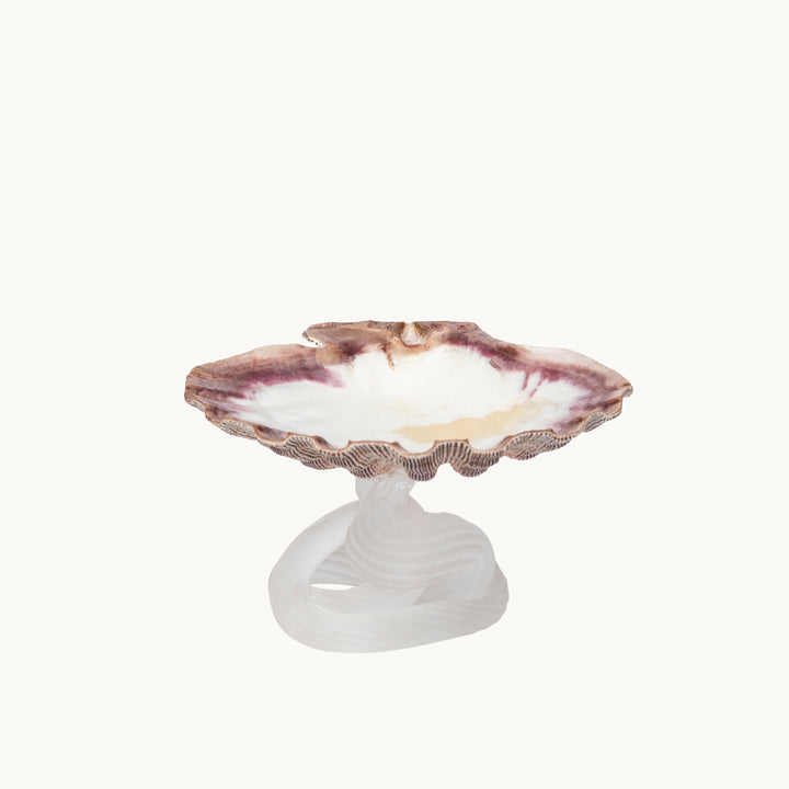 The Scallop Dish