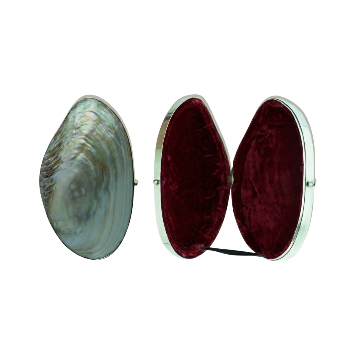 A detailed product view showing the closed iridescent river mussel shell clutch alongside the open two halves of the solid silver frame revealing the red velvet lining.