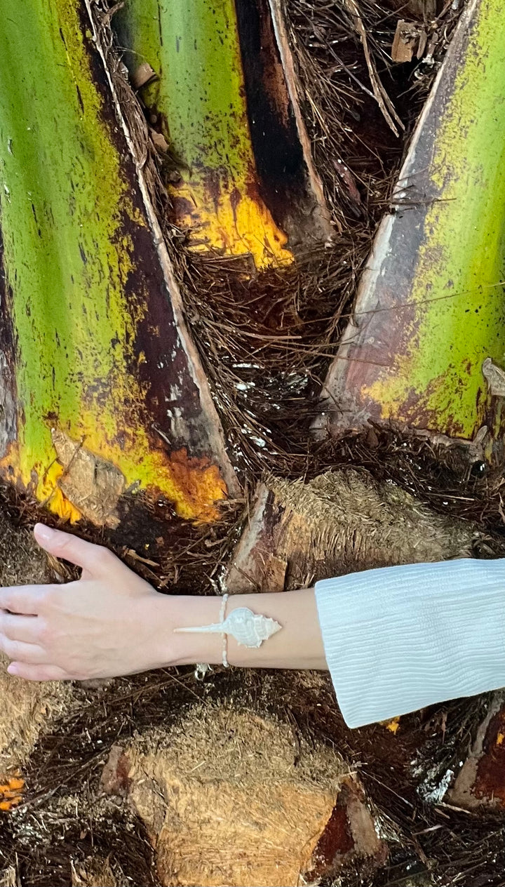 Model's arm in a ribbed white long-sleeved cuff wearing the natural conch shell bracelet, hand resting near the rough, green and brown textured trunk of a palm tree, natural coastal setting.