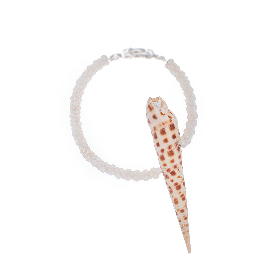 A bracelet composed of an Oxymeris areolata shell encircled by coral beads, featuring a single freshwater pearl.