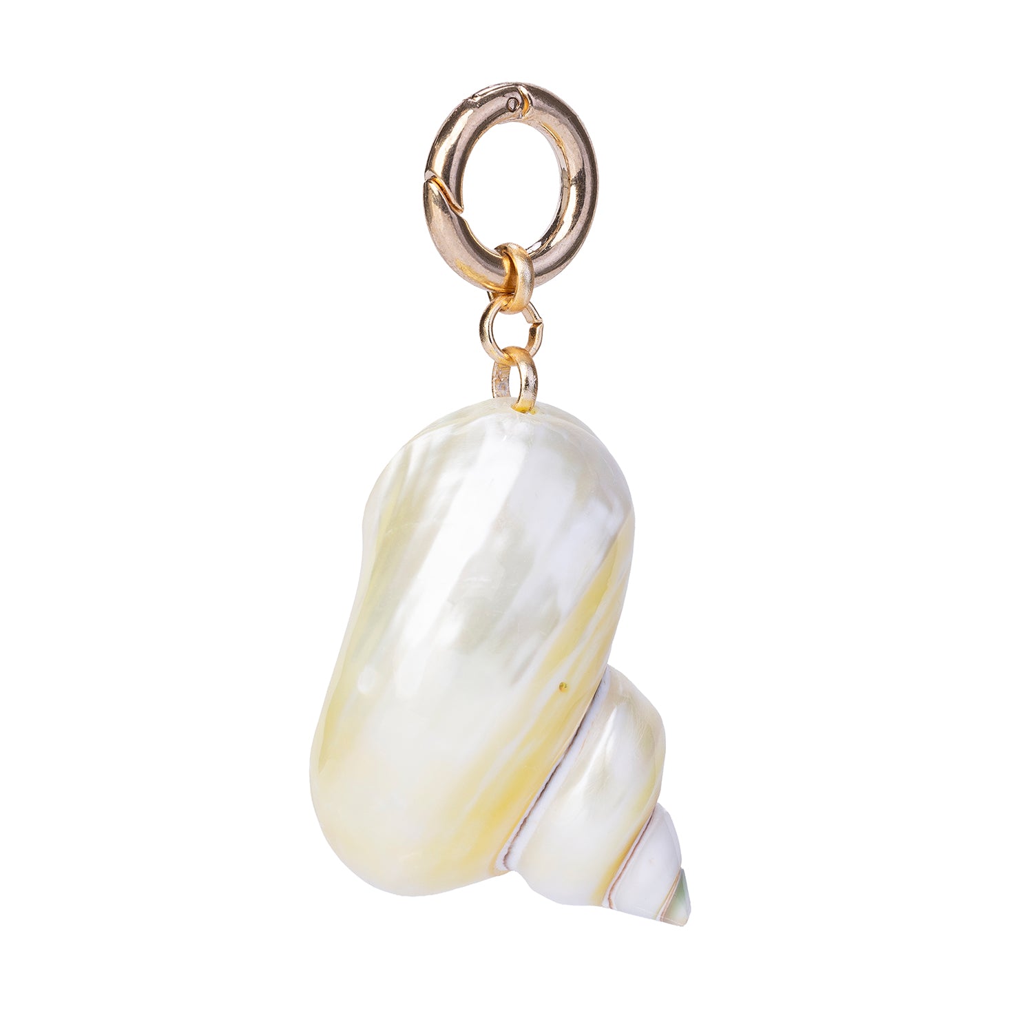 Handcrafted natural spiral pearl turbo shell charm, attached to a gold-toned spring ring clasp against a white background.