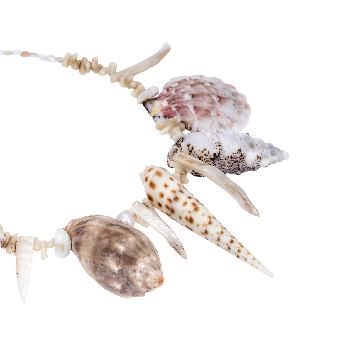 Close-up detail of the hand-selected cone, murex, and scallop shells on the Azur statement necklace.