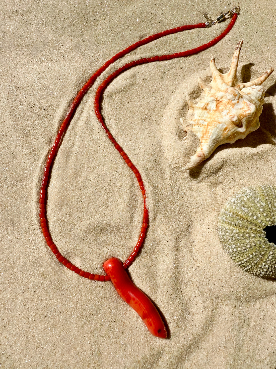 The red coral necklace artistically displayed on beach sand alongside a natural conch shell and sea urchin.