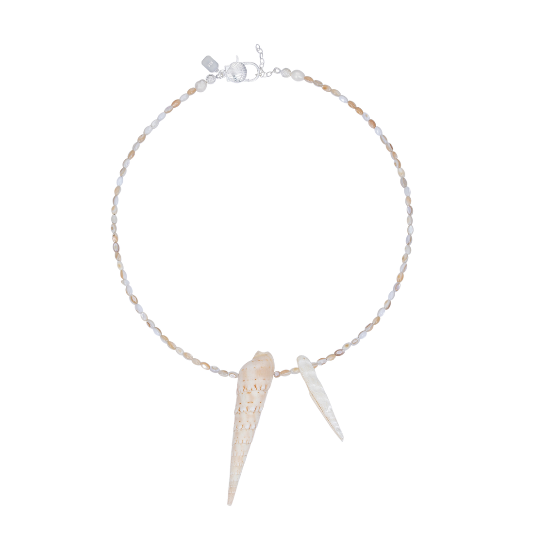 Necklace with shell pendants on a white background