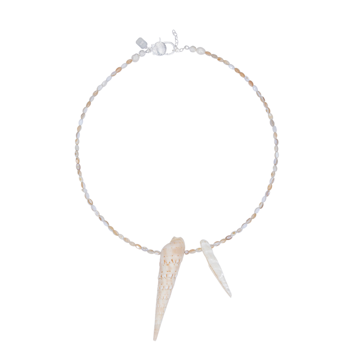 Necklace with shell pendants on a white background