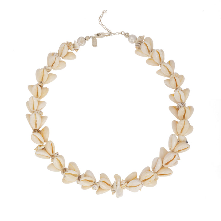 Cowrie shell necklace on a white background