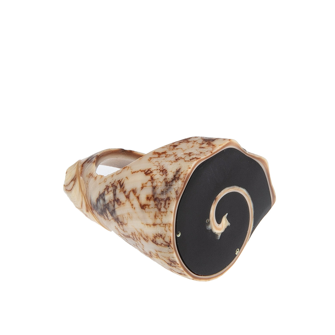 A hand-carved seashell ring set with a semi-precious stone.