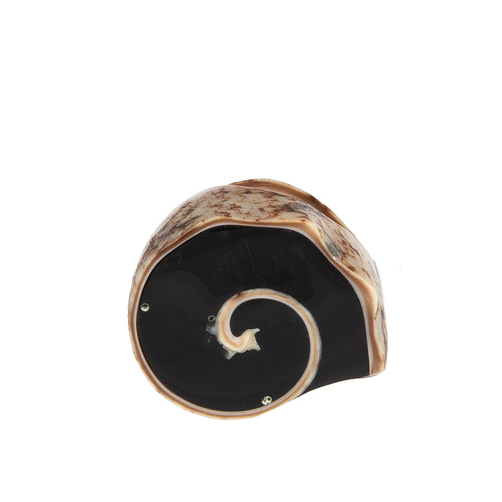 A hand-carved seashell ring set with a semi-precious stone.