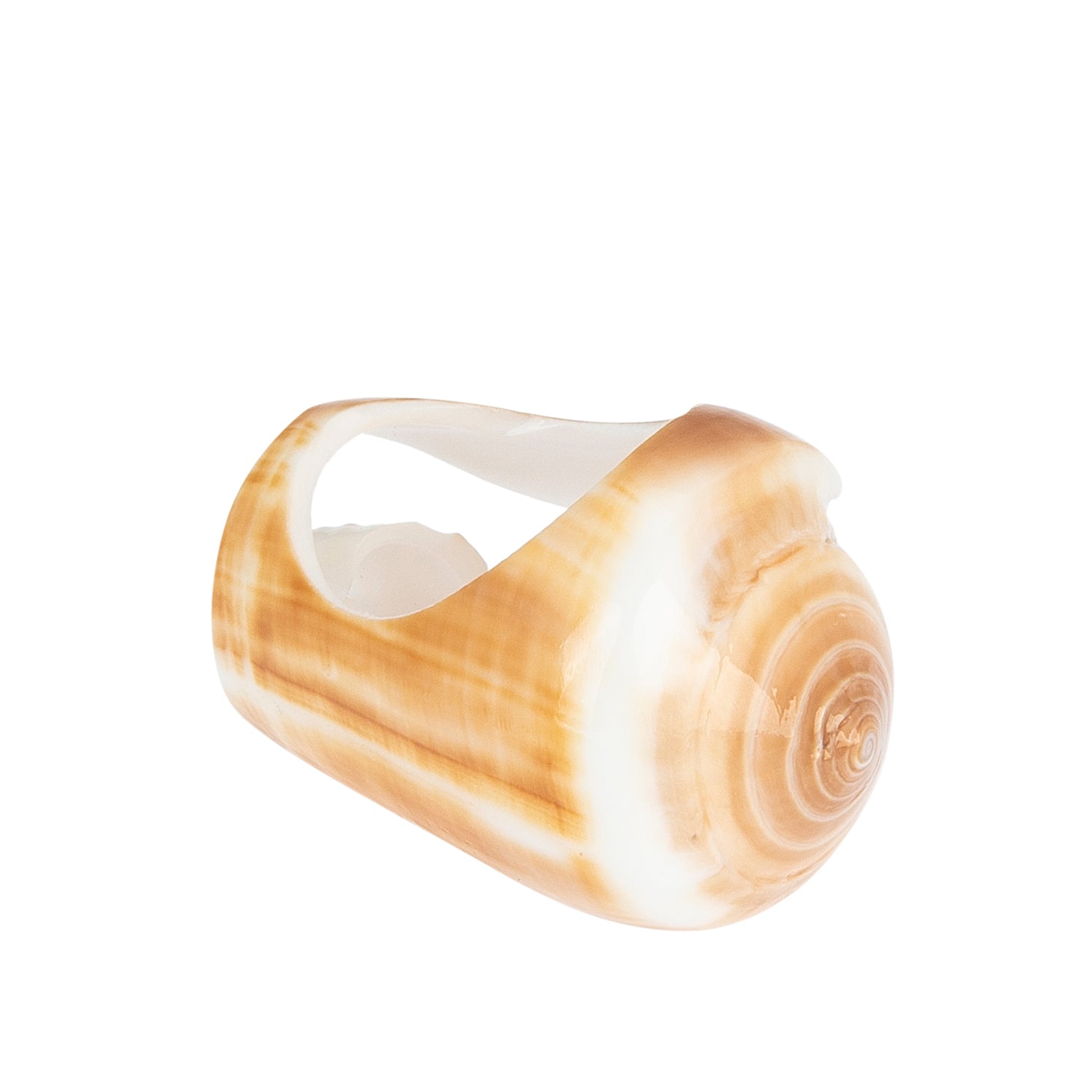 A hand-carved seashell ring set with a semi-precious stone.
