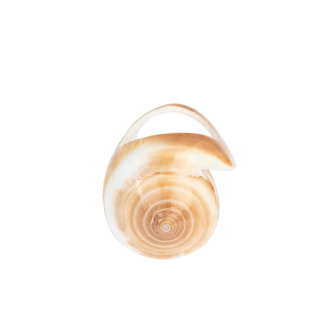 A hand-carved seashell ring set with a semi-precious stone.