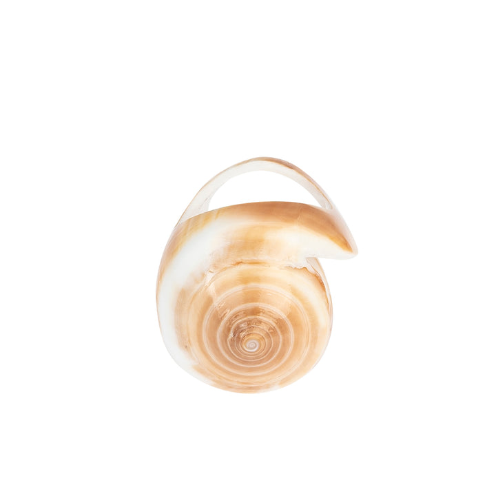 A hand-carved seashell ring set with a semi-precious stone.