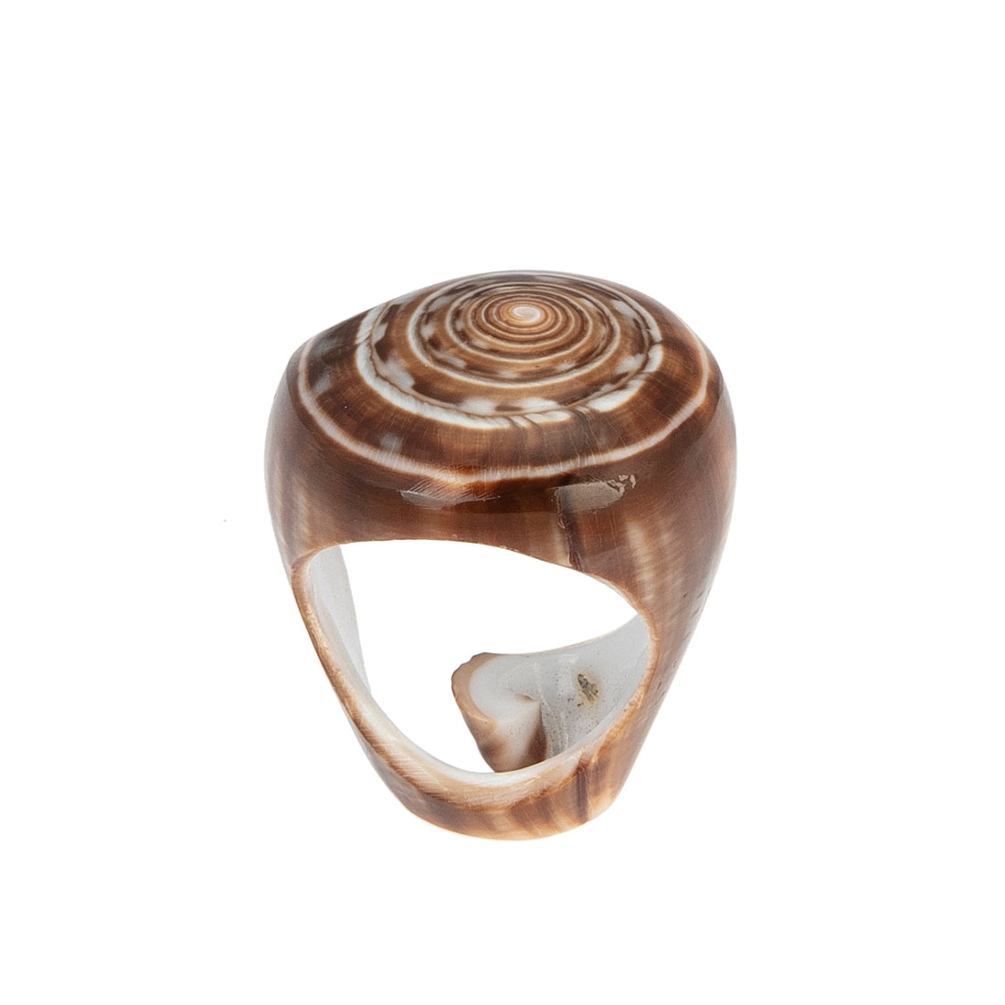 A hand-carved seashell ring set with a semi-precious stone.