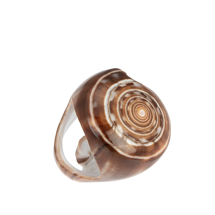 A hand-carved seashell ring set with a semi-precious stone.