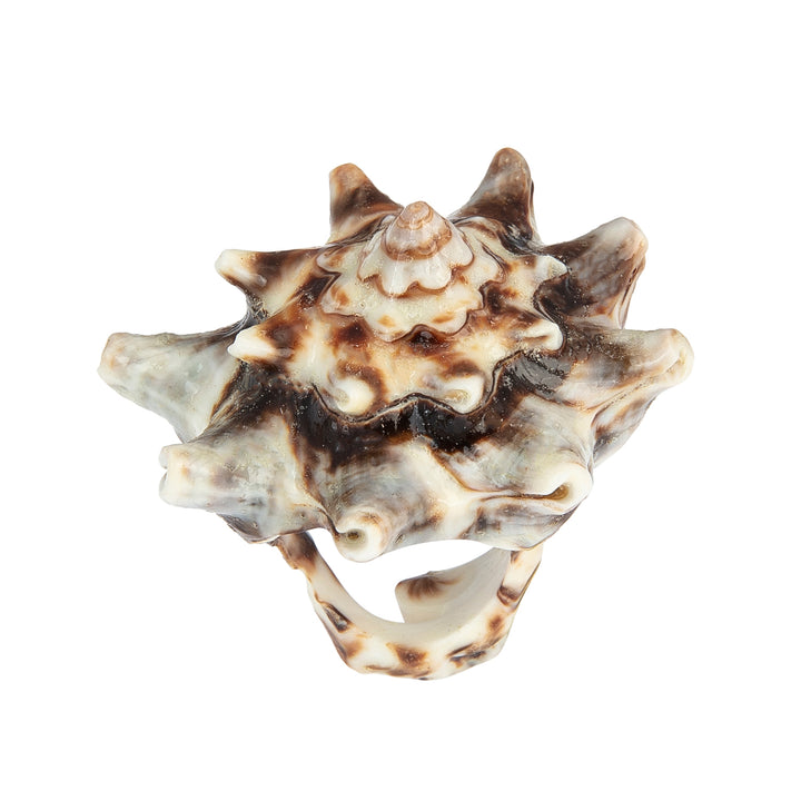 A hand-carved seashell ring made with semi-precious stones.