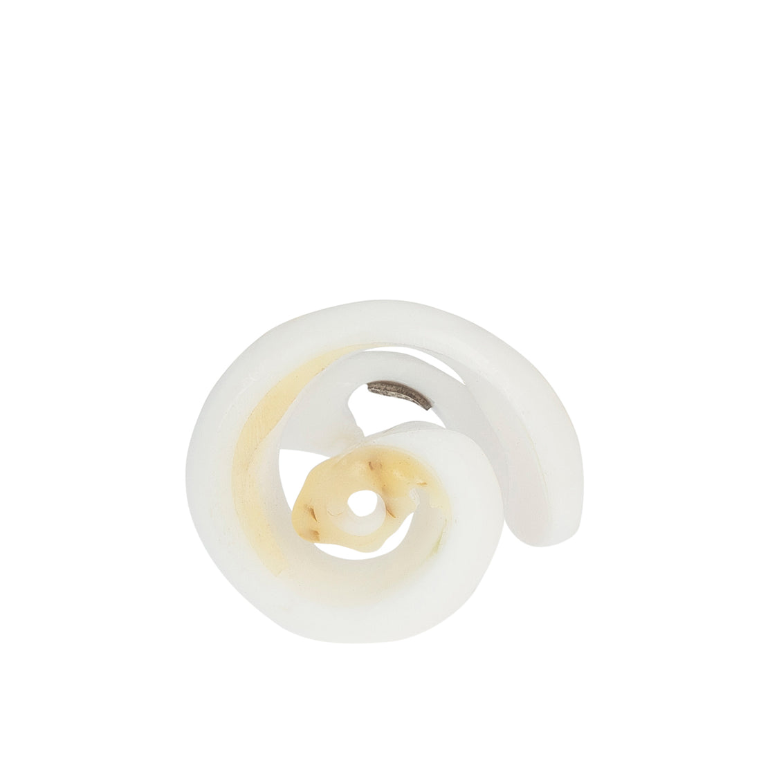A hand-carved seashell ring made with semi-precious stones.