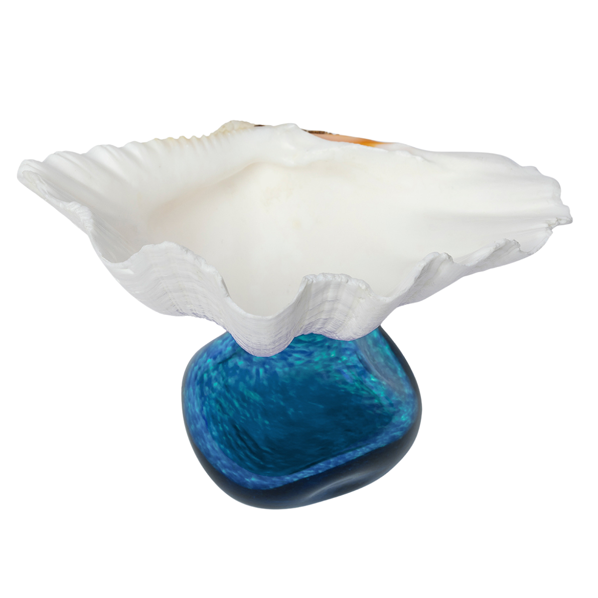 A natural giant clam shell perched on an iridescent blue base.
