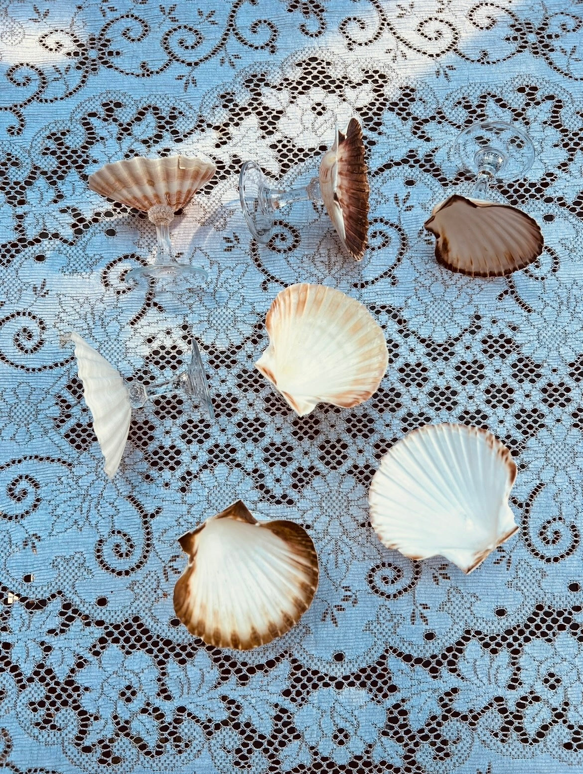 Shell Stemware on a decorative lace tablecloth