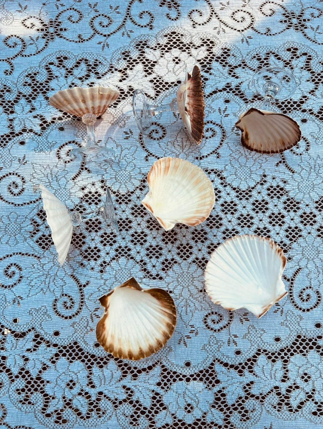 Shell Stemware on a decorative lace tablecloth
