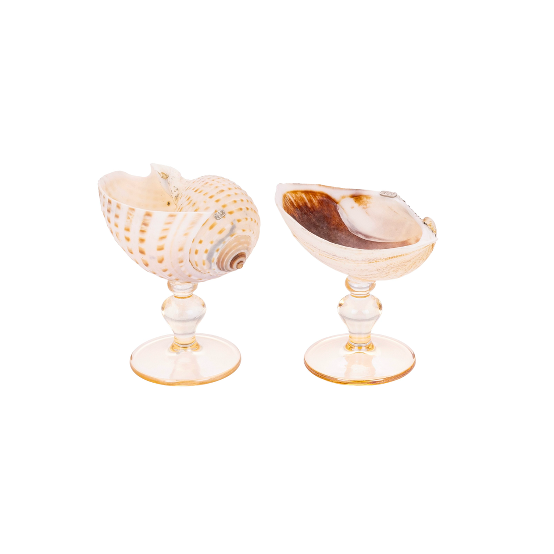 Set of two handmade liqueur glasses featuring natural Cockle shells perched on crystal stems.