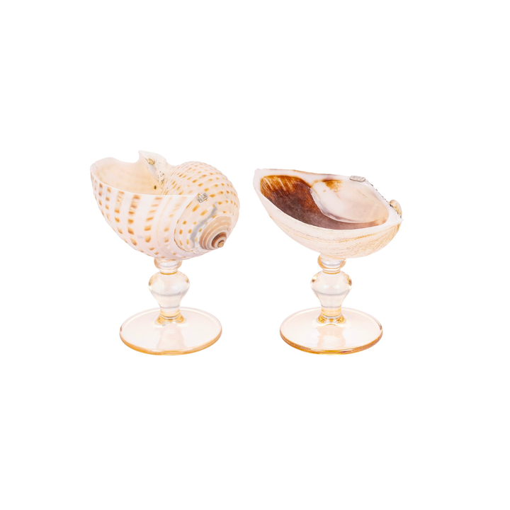 Set of two handmade liqueur glasses featuring natural Cockle shells perched on crystal stems.