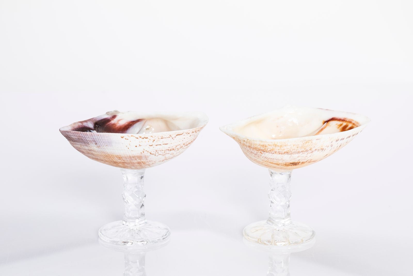 Liqueur Glass Set of 2