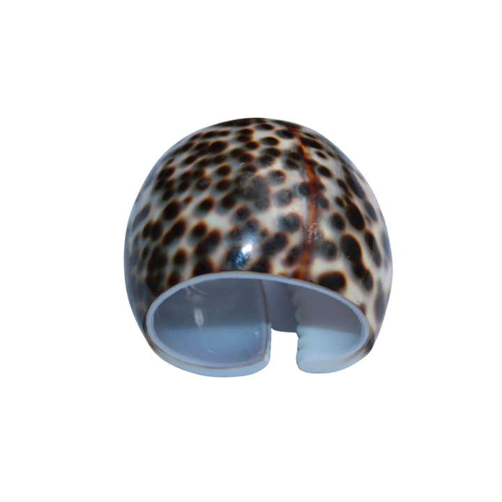 Natural Shell Napkin Ring Set