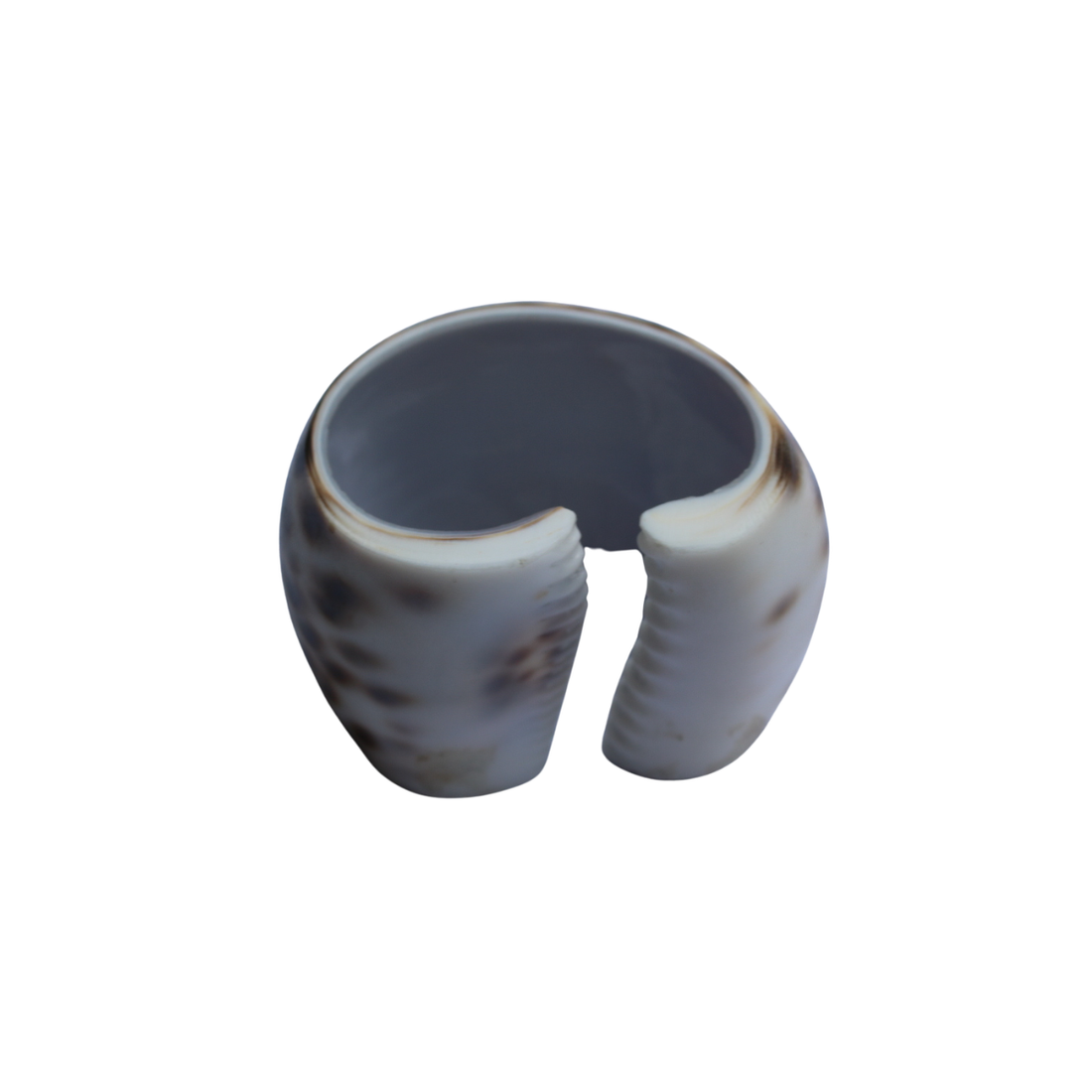 Natural Shell Napkin Ring Set