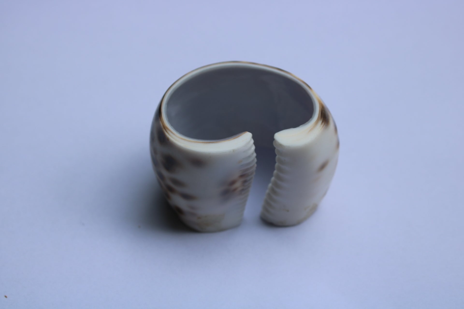 Natural Shell Napkin Ring Set