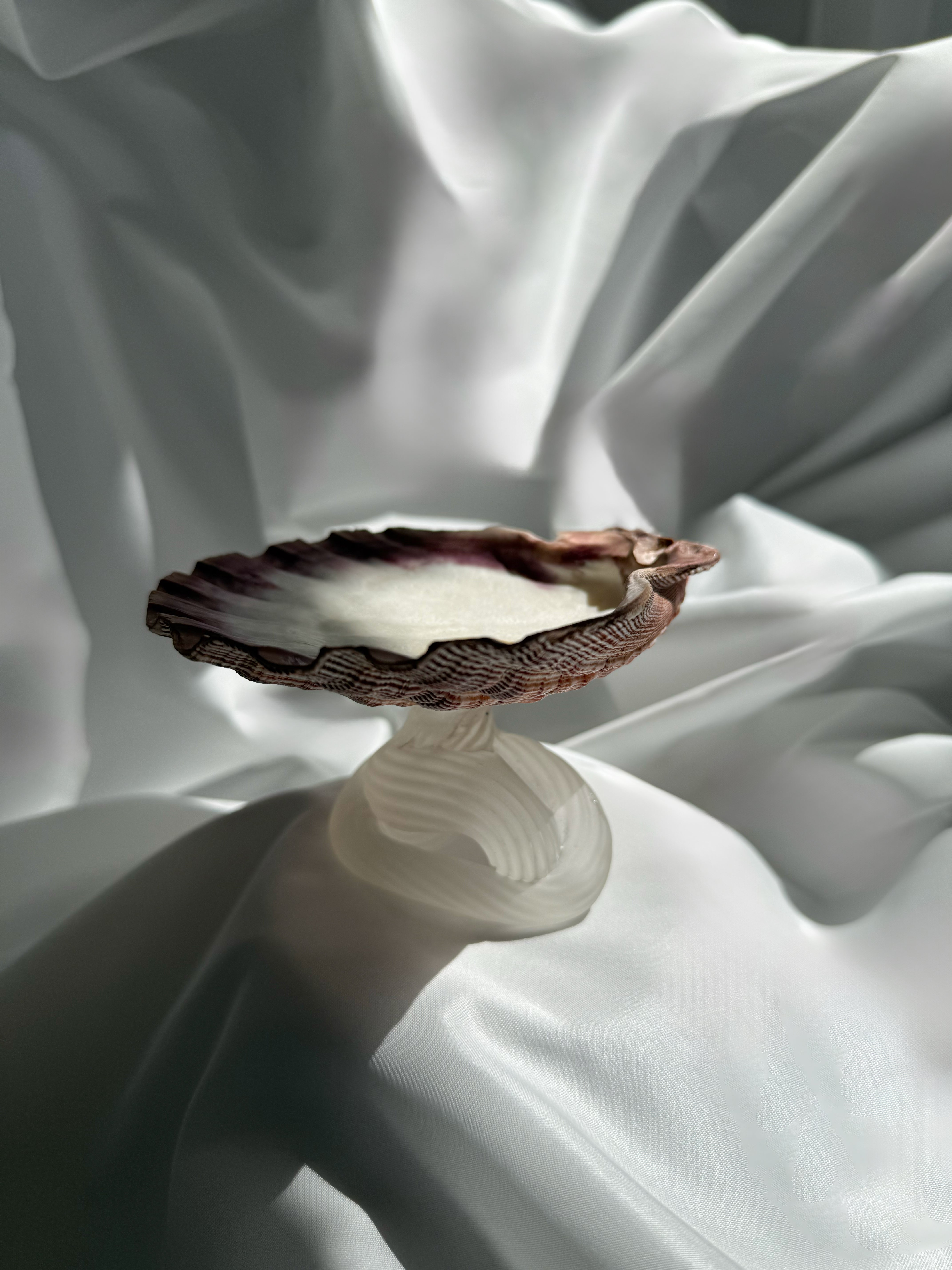 Scallop Shell-shaped serving dish on a silky white fabric