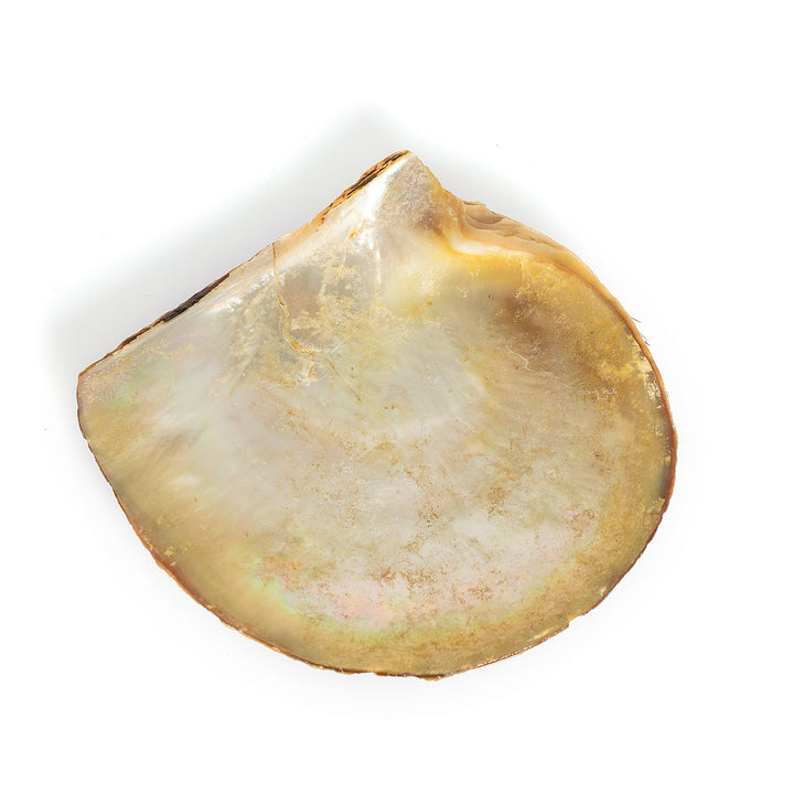 Mother of pearl salt and pepper plate