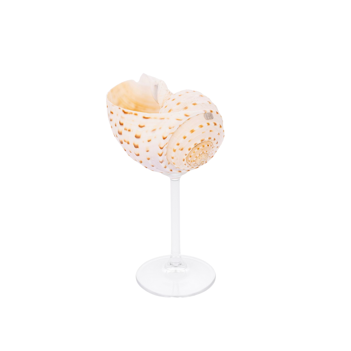 Multi - Shell Stemware