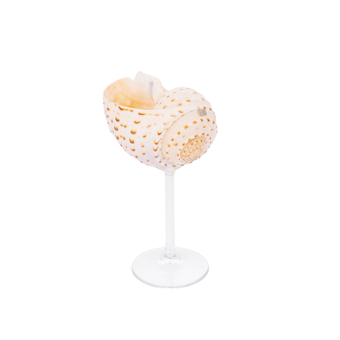 Multi - Shell Stemware