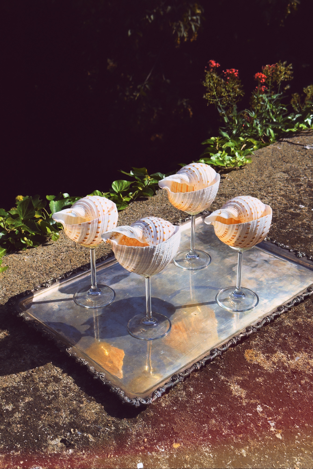Multi - Shell Stemware
