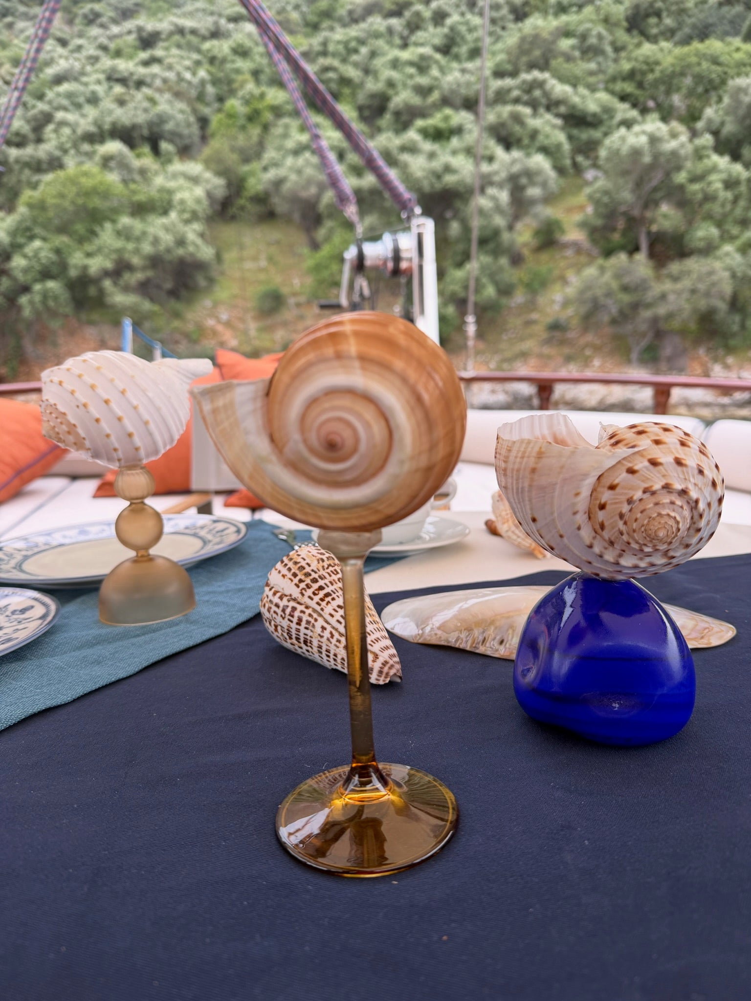 A unique, Tonna Galea sea shell perched on a sleek brown glass stem. 
