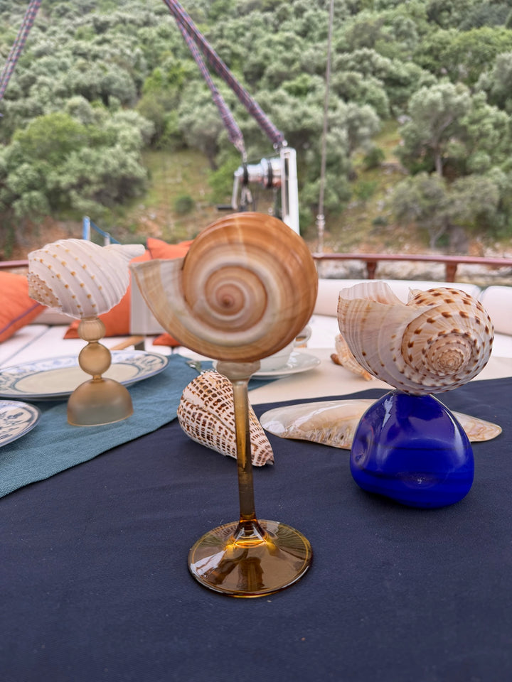 A unique, Tonna Galea sea shell perched on a sleek brown glass stem. 