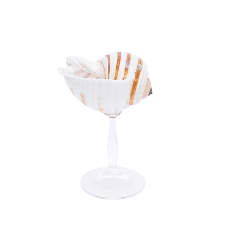 Striped - Shell Stemware