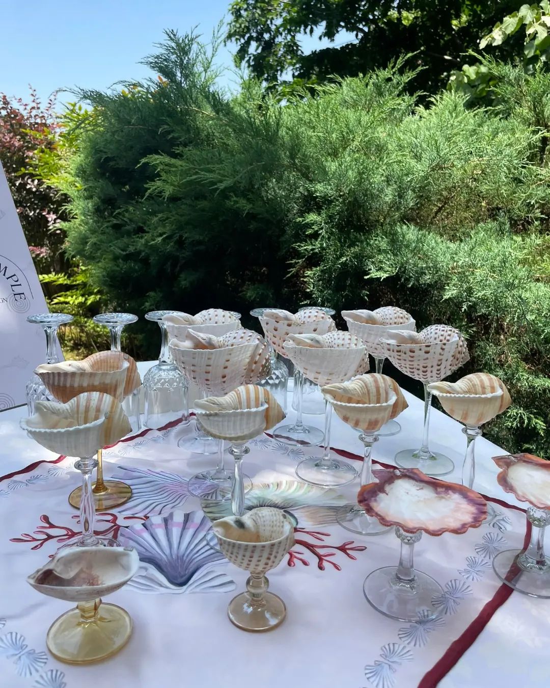 Striped - Shell Stemware