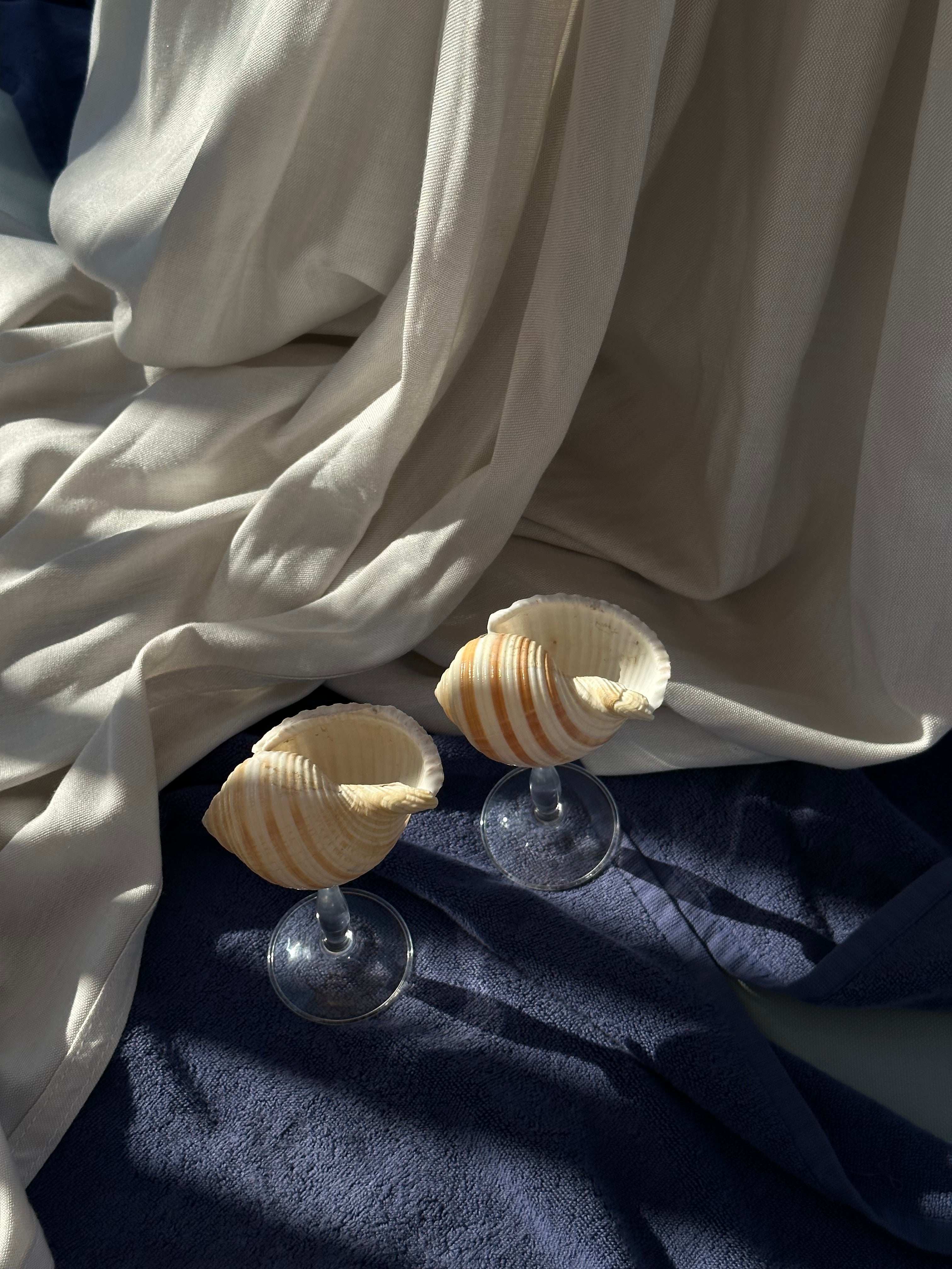 Striped - Shell Stemware