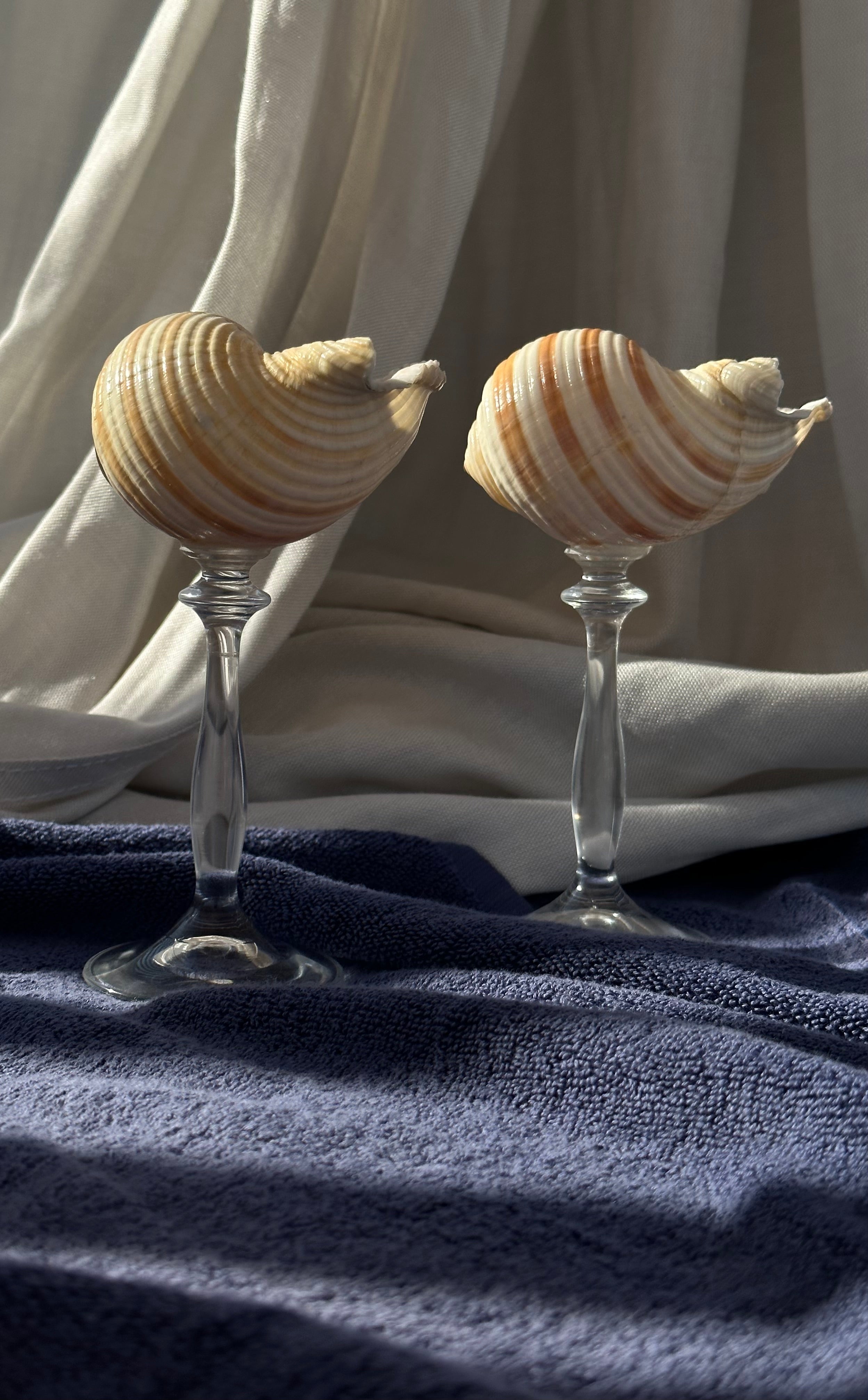 Striped - Shell Stemware