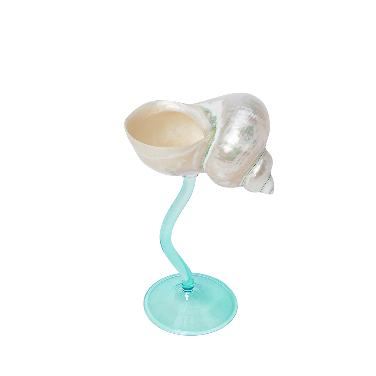 A luminous Pearl Turbo shell perched on a handmade turquoise glass stem.