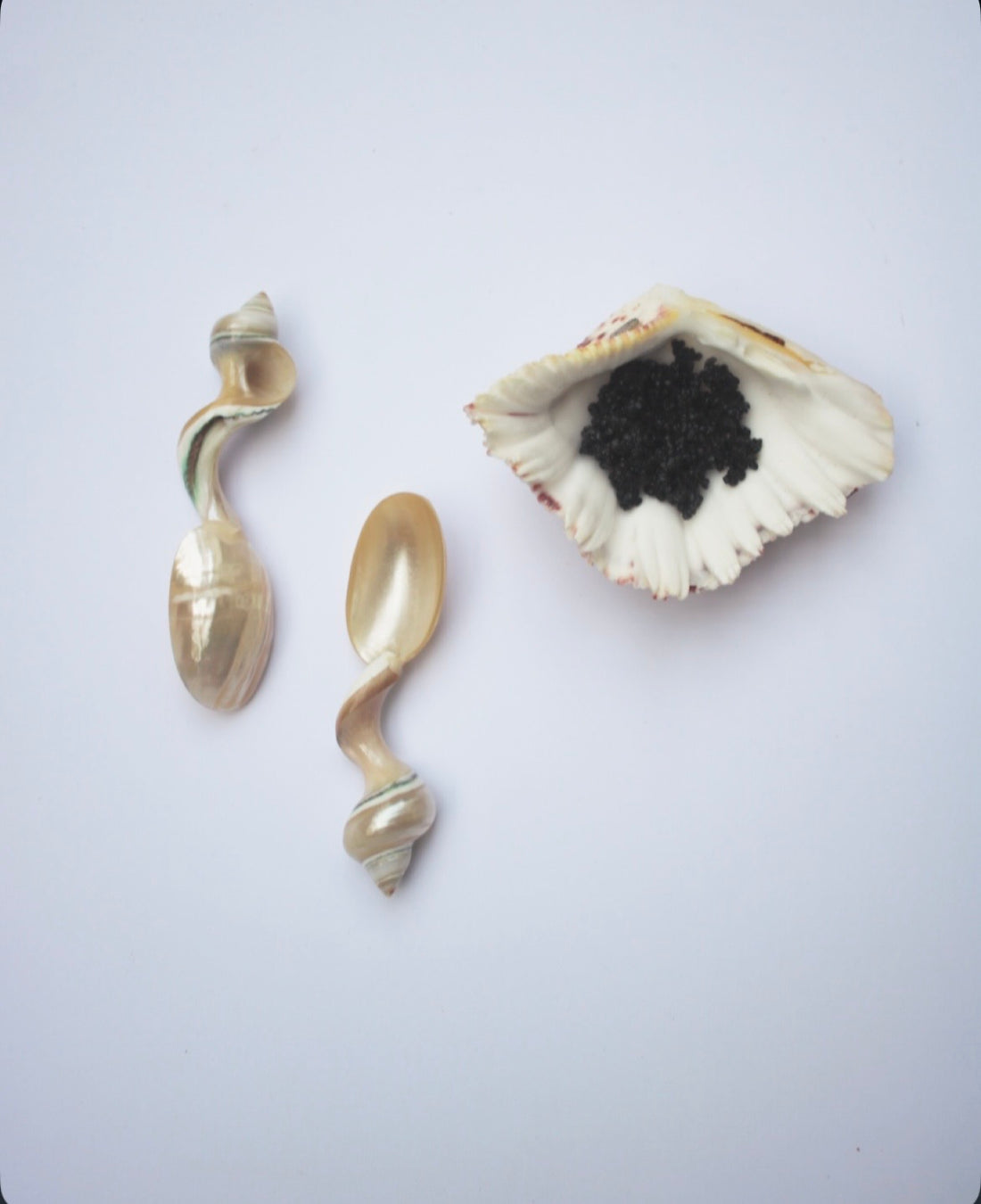 Mother of pearl spoons handcrafted with unique shell  handles.