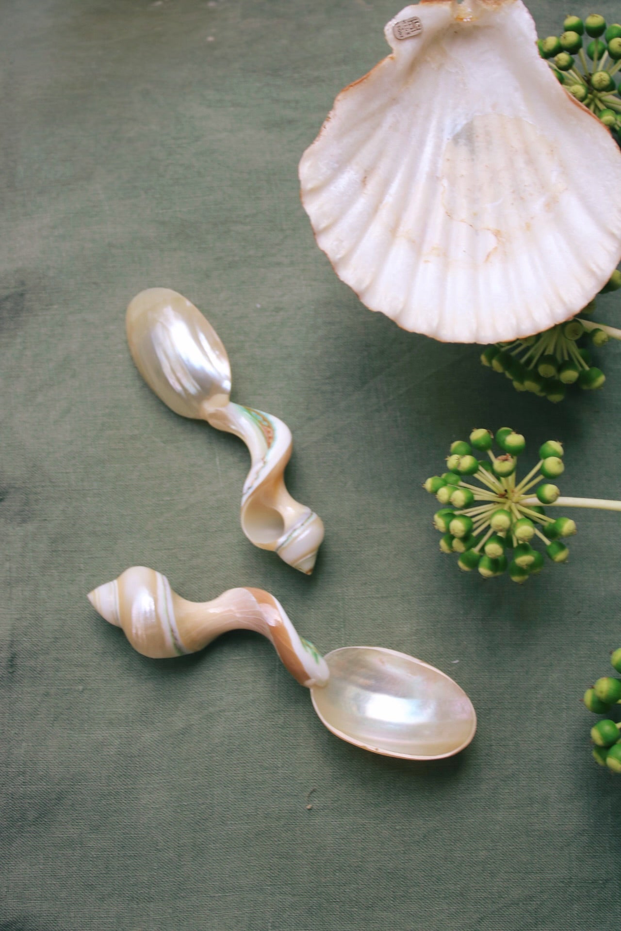 Shell Shaped Spoons made of mother of pearl on a light green table cloth